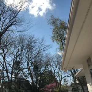 Meet your Posher, John henry